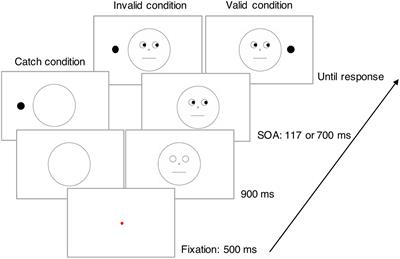 The Gaze-Cueing Effect in the United States and Japan: Influence of Cultural Differences in Cognitive Strategies on Control of Attention